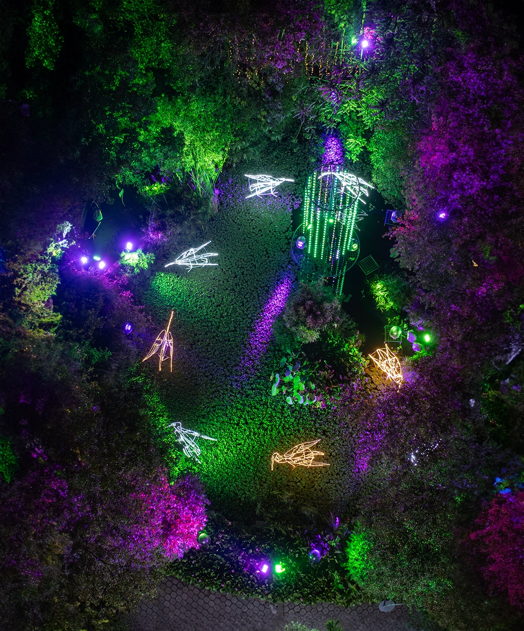 jardin botánico