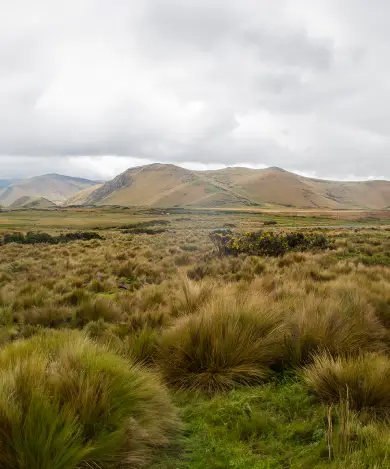 Pintag-refugio-de-paz-y-tranquilidad