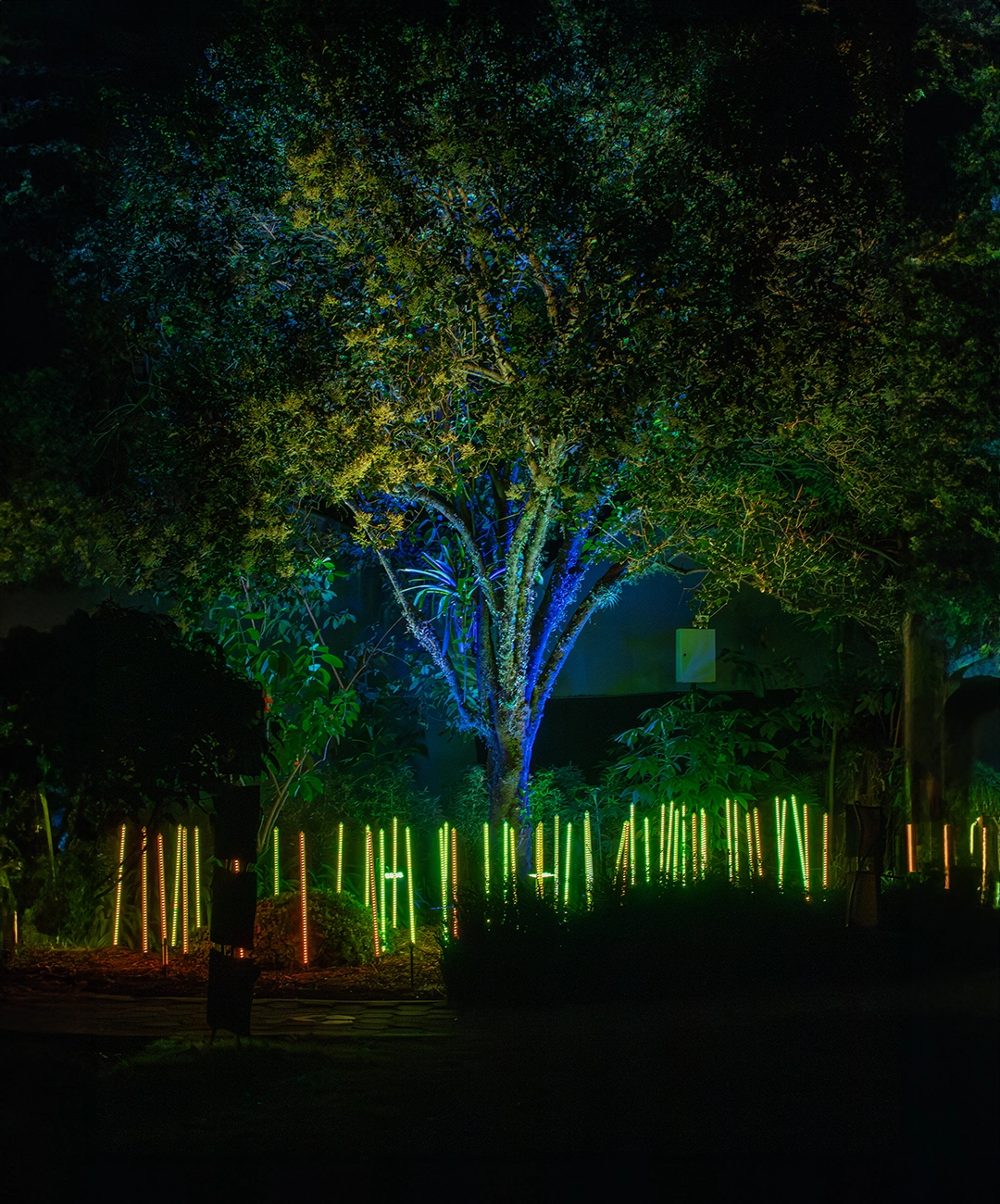 jardin botánico