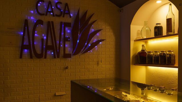 casa_agave2