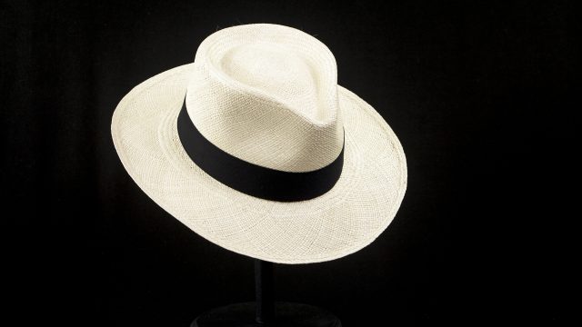 PanamahatquickPajaToquilla