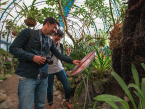 Jardín Botánico de Quito