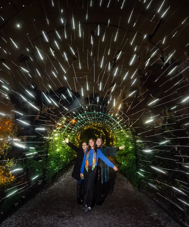 Luces en el Jardín Botánico de Quito