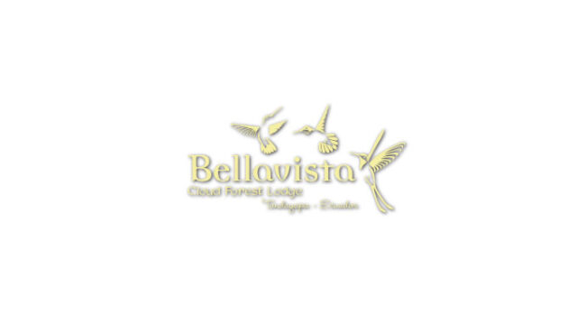Bellavista-Cloud-Forest