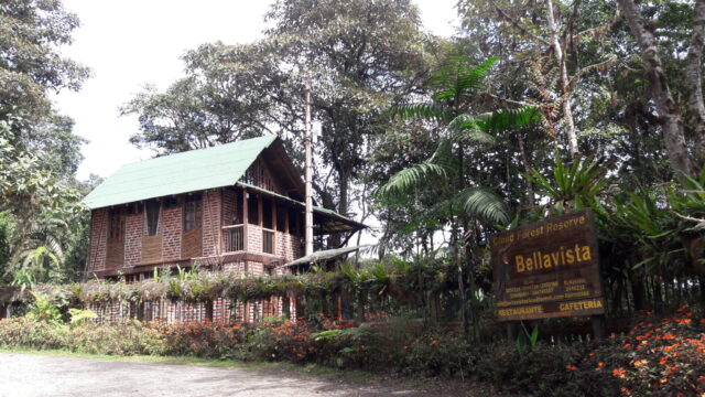 Bellavista Cloud Forest Imagen