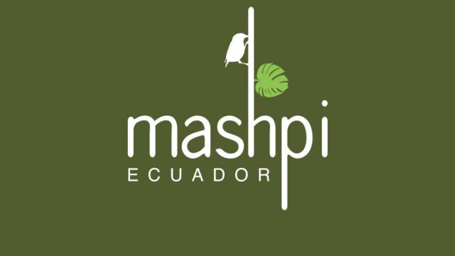 LOGO MASHPI LODGE