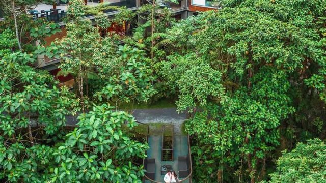 Mashpi Lodge Imagen