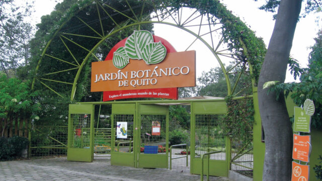 jardin-botanico1