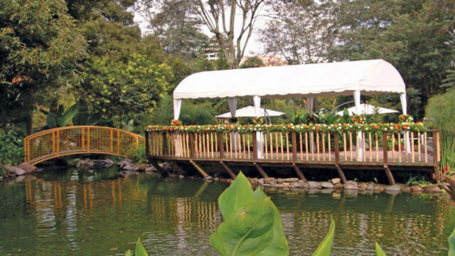 jardin-botanico2