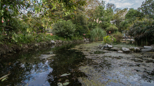 jardin-botanico3