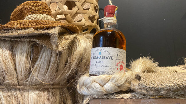 casa_agave1