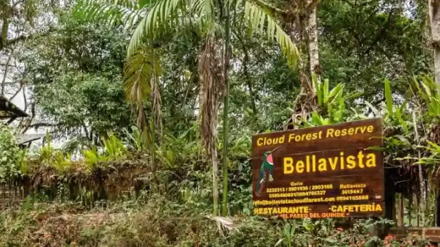Bellavista Cloud Forest
