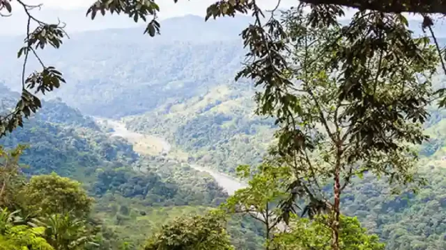 Chocó Andino 1