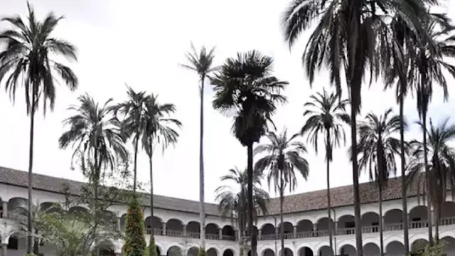 Cultura-Convento-San-Francisco