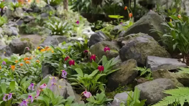 Cultura-Jardín-botánico