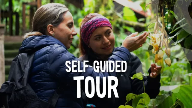 self_guided_tour