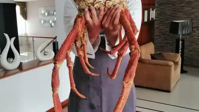 106781393_3255259891221411_4437496454991432766_n