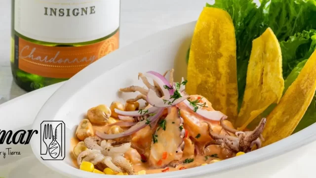 Diseno-sin-titulo-10