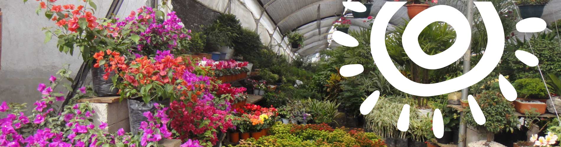 Nayón, the Garden of Quito: nurseries, adventure, and gastronomy