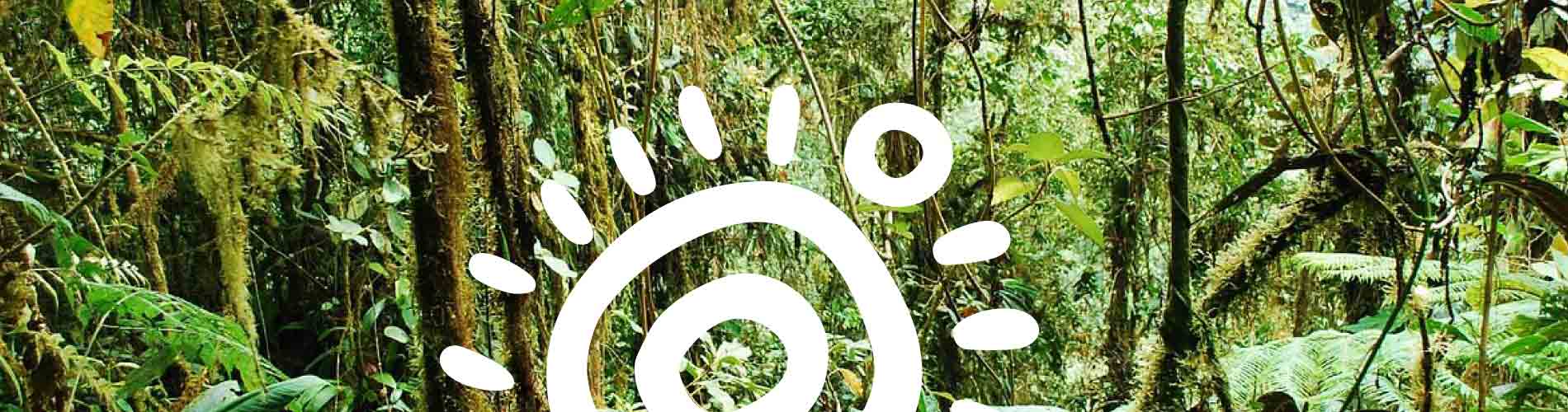 Explore 9 Remarkable Natural Reserves in Quito You Must See Now