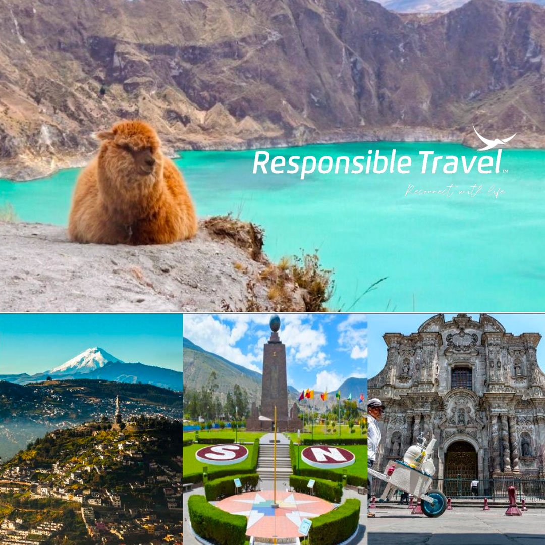 Responsive-Travel1