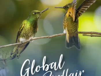 Global Birdfair 2024